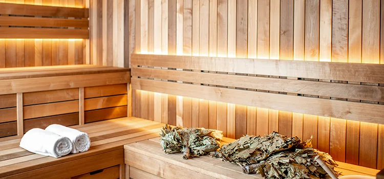Home Spa with Sauna in St. Catharines, Ontario